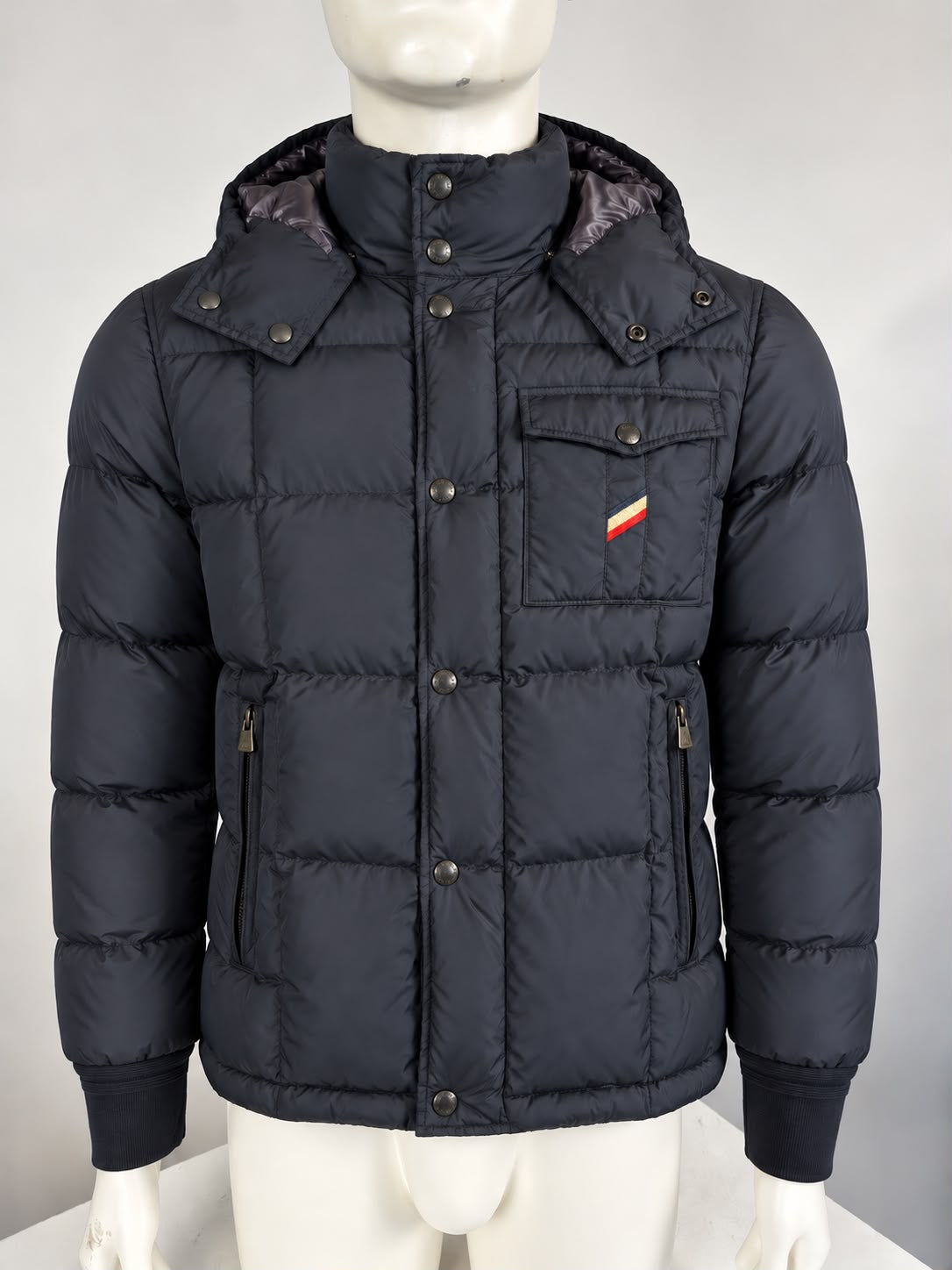 Moncler Alban Down Jacket (3/M/L)