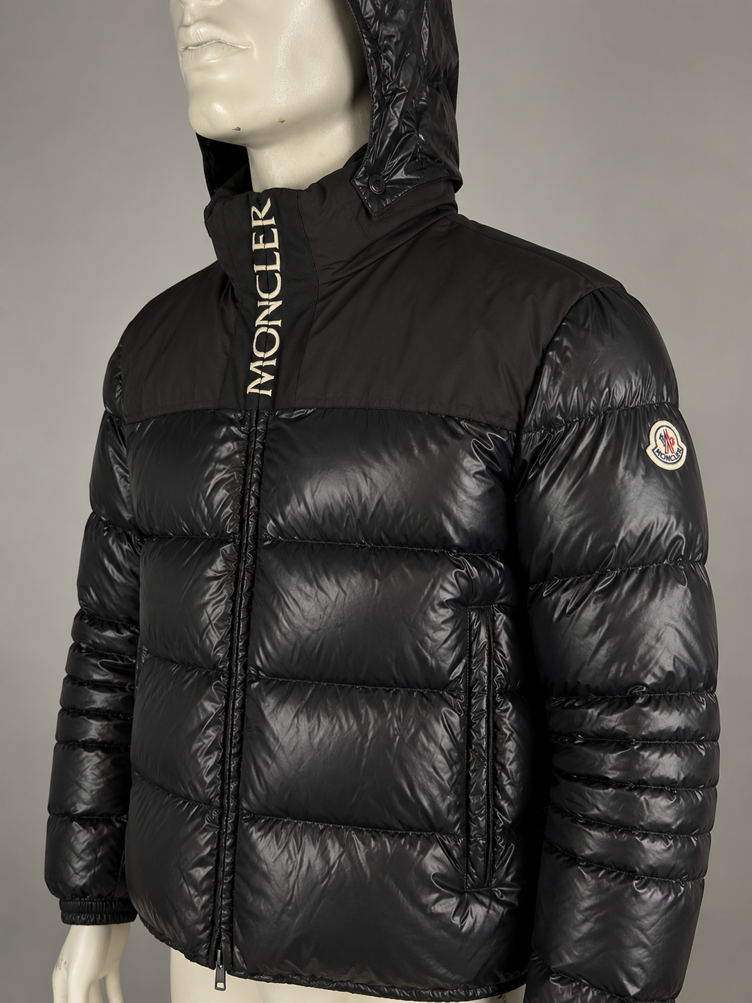 Moncler Bruel Down Jacket (4/L)