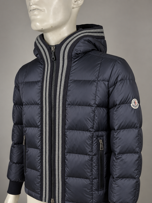 Moncler Leon Down Jacket (4/L)