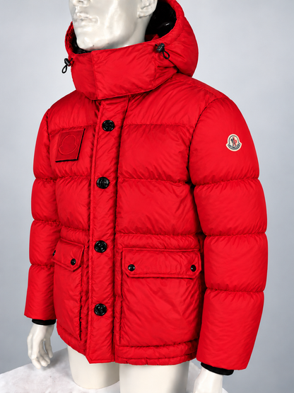 Moncler Dary Down Jacket (4/L)
