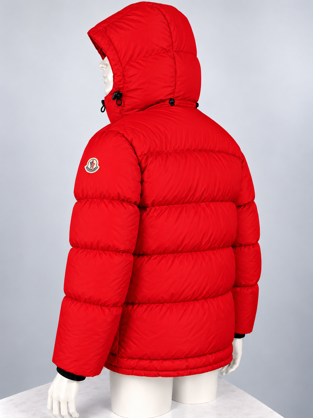 Moncler Dary Down Jacket (4/L)