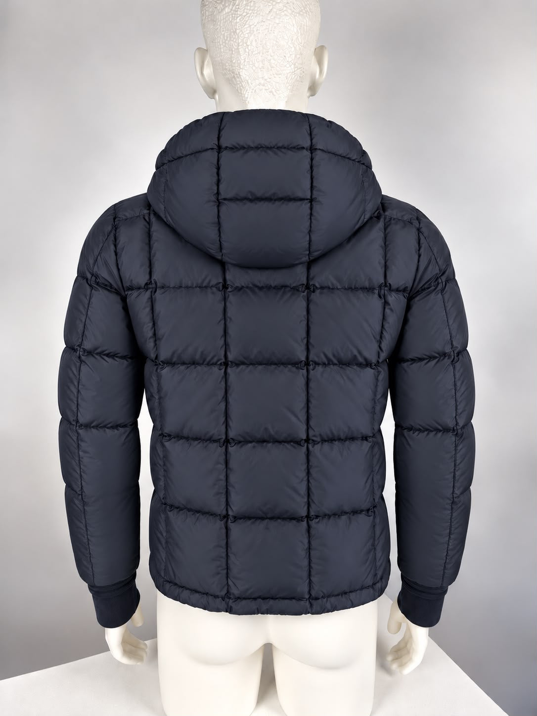 Moncler Alban Down Jacket (3/M/L)