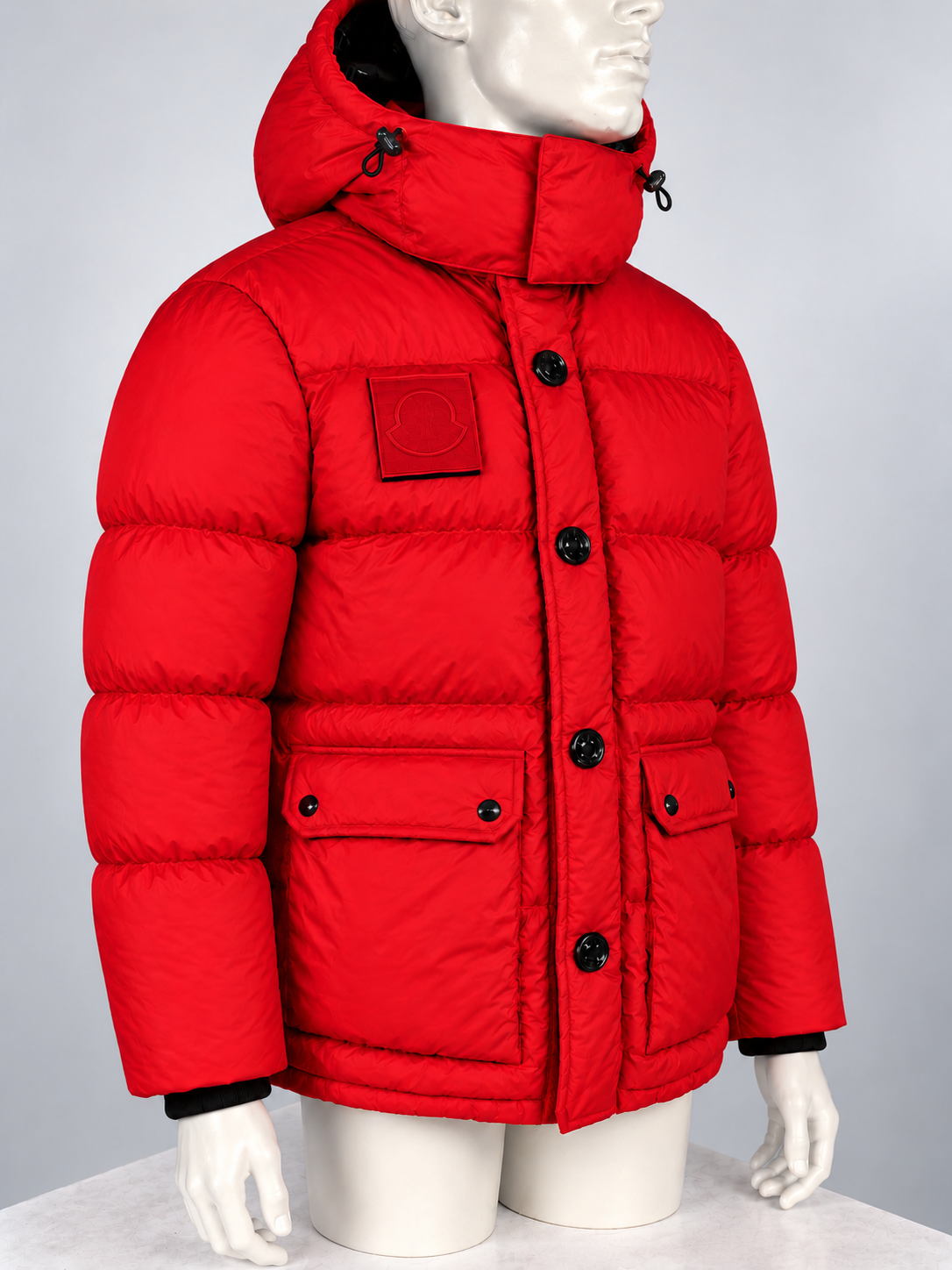 Moncler Dary Down Jacket (4/L)