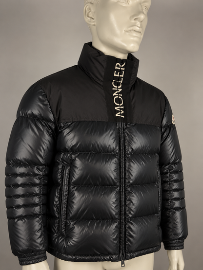 Moncler Bruel Down Jacket (4/L)