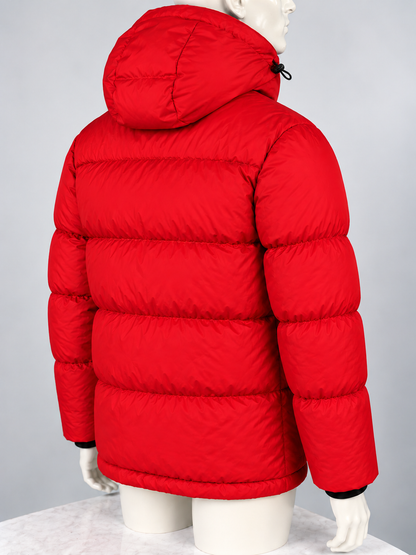 Moncler Dary Down Jacket (4/L)